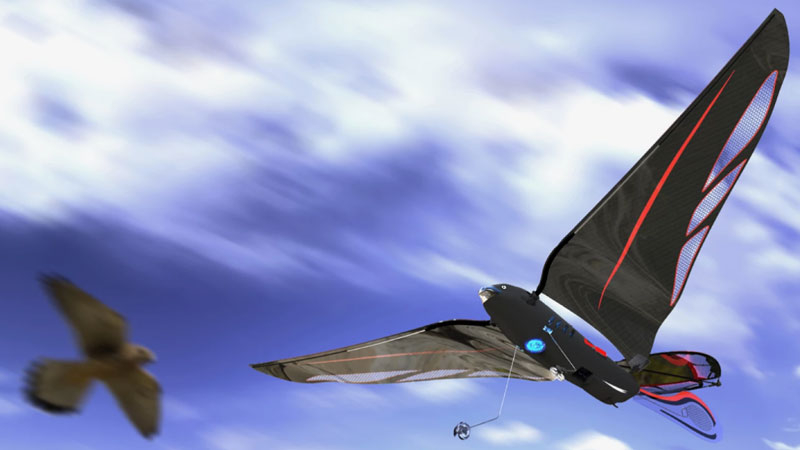 Kỹ sư đã chế tạo một con chim robot có trọng lượng 10 gram, có thể quay tới tốc độ 31 km/h và được điều khiển qua điện thoại thông minh