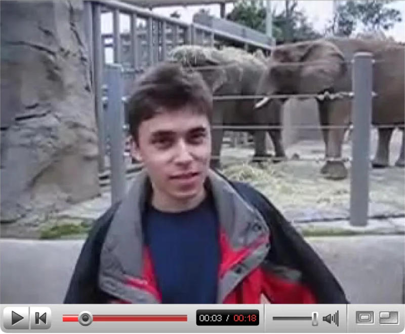 Các video đầu tiên từ YouTube đã được đưa vào bộ sưu tập của bảo tàng