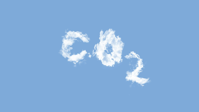 Hàng trăm nghìn đã biến thành hàng chục triệu: trí tuệ nhân tạo đã thúc đẩy tăng trưởng nhu cầu tín chỉ carbon của các tập đoàn công nghệ