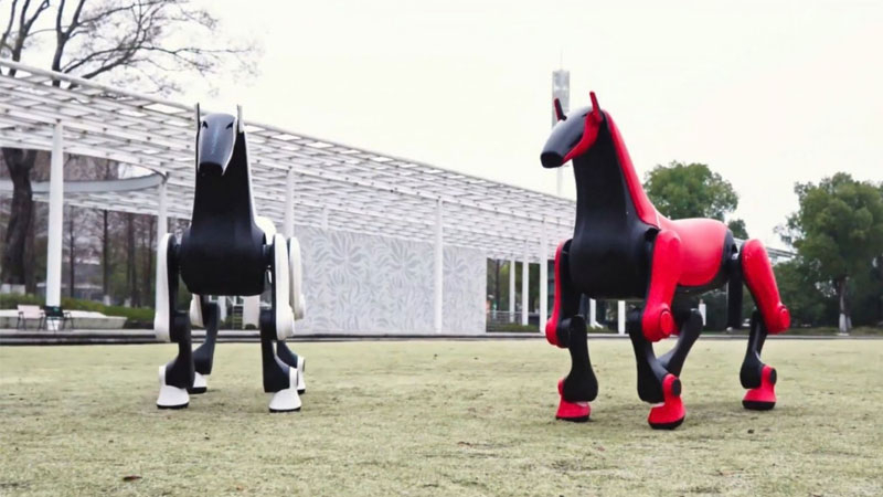 Công nhân Trung Quốc đã phát triển một “robot ngựa”, có khả năng vận chuyển cưỡi lên tới 50 kg qua địa hình đồi núi