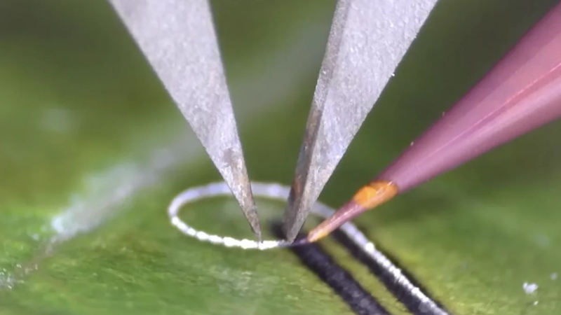 Kỹ sư đã tạo ra một thiết bị cho phép đặt các linh kiện điện tử lên mô sống và cấy ghép y tế mà không gây hại.