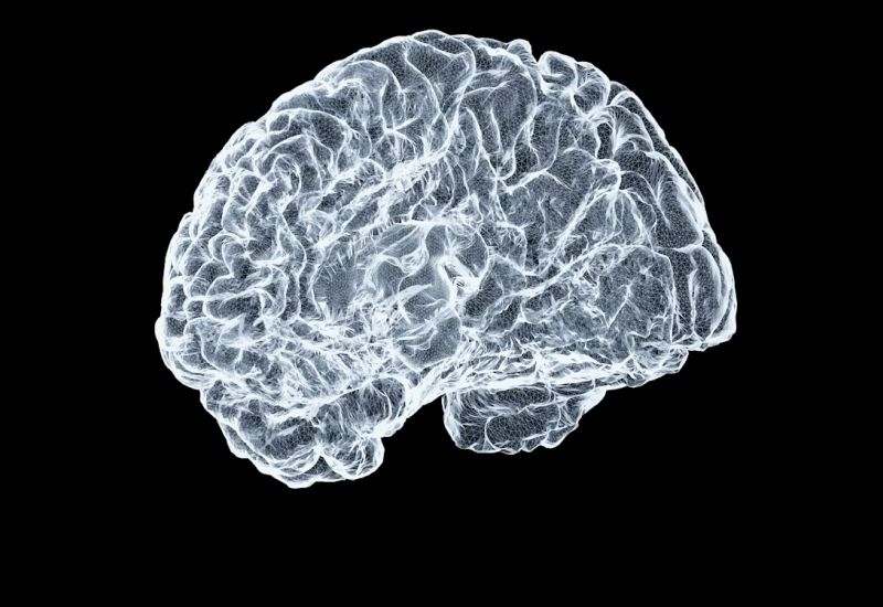 Cấy ghép não Trung Quốc đã tụt lại phía sau Neuralink của Mỹ gần ba năm.