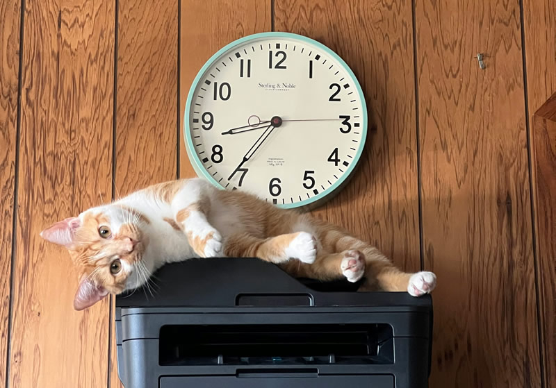 Windows 11 sẽ ngừng hỗ trợ các driver máy in cũ phiên bản V3 và V4 với cập nhật tiếp theo