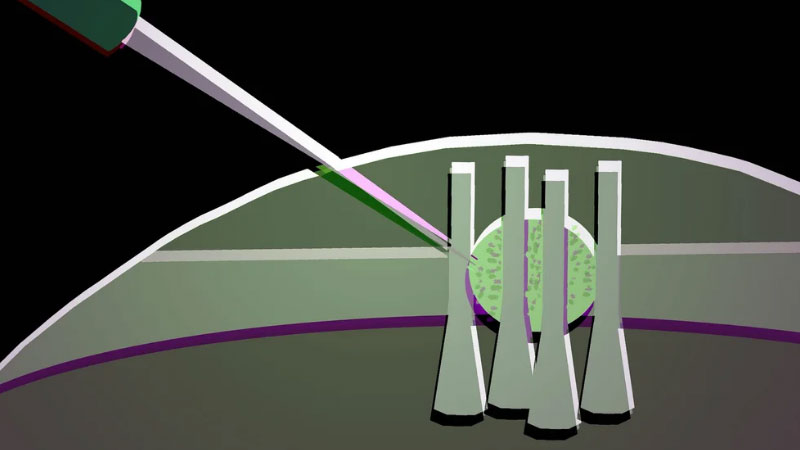 Các nhà khoa học đã biến một giọt tinh thể lỏng thành bộ transistor quang linh hoạt cho chip photonics tương lai